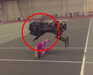 Este robot guepardo sorprende a todo el mundo al ver cómo detecta y salta obstáculos