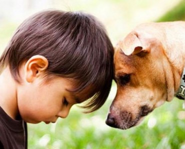 23 imágenes de perros (y sus historias) que te conmoverán hasta las lágrimas 5 23 imágenes de perros (y sus historias) que te conmoverán hasta las lágrimas