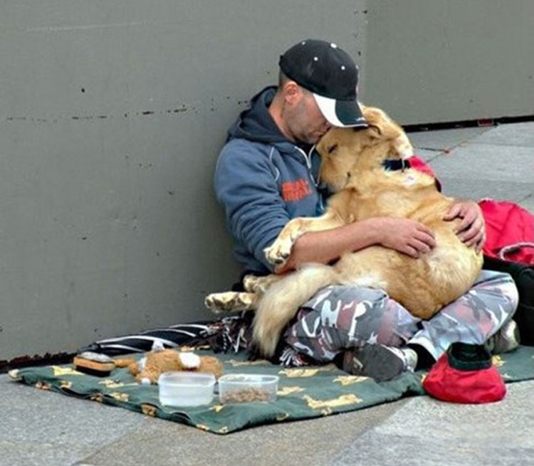 23 imágenes de perros (y sus historias) que te conmoverán hasta las lágrimas