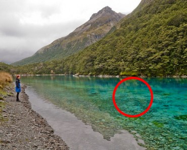 Este lago es el ÚNICO de su tipo en todo el mundo. Es difícil de creer que sea REAL