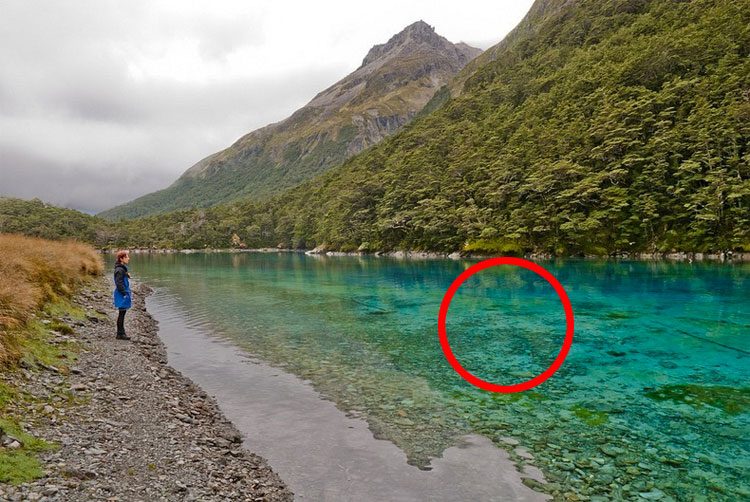 Este lago es el ÚNICO de su tipo en todo el mundo. Es difícil de creer que sea REAL