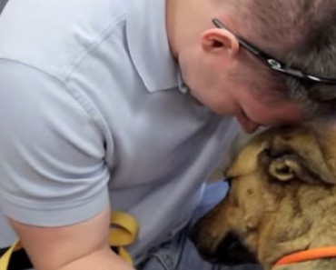 El momento en el que este perro se reencuentra con su dueño después de estar perdido durante 7 meses TE EMOCIONARÁ 1 El momento en el que este perro se reencuentra con su dueño después de estar perdido durante 7 meses TE EMOCIONARÁ