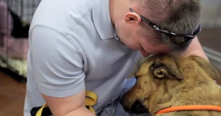 El momento en el que este perro se reencuentra con su dueño después de estar perdido durante 7 meses TE EMOCIONARÁ