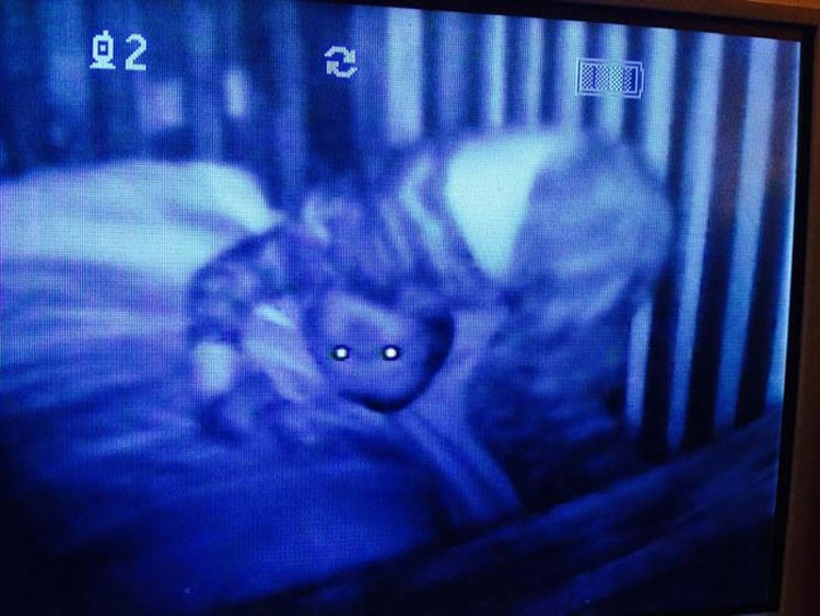13 momentos en que los monitores de bebés capturaron "algo" HORRIPILANTE