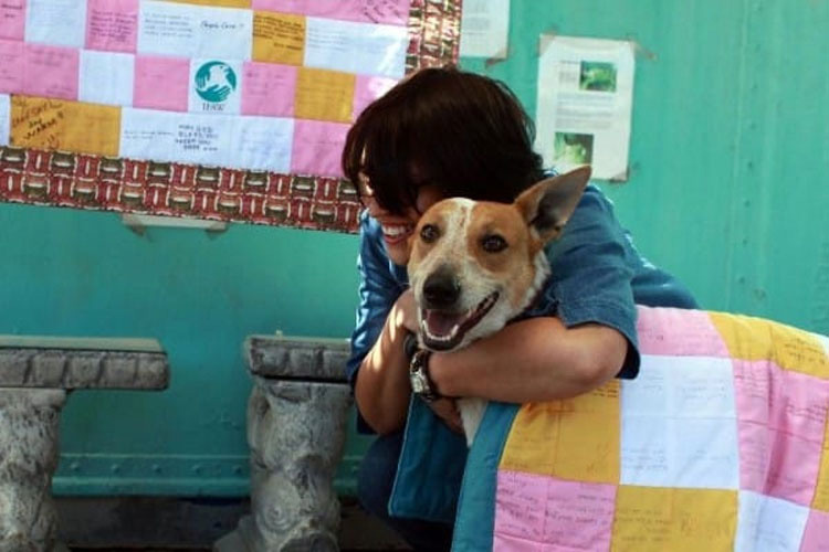 Esta perrita fue enterrada VIVA sólo por ser una perra callejera. Su fuerza te HARÁ LLORAR