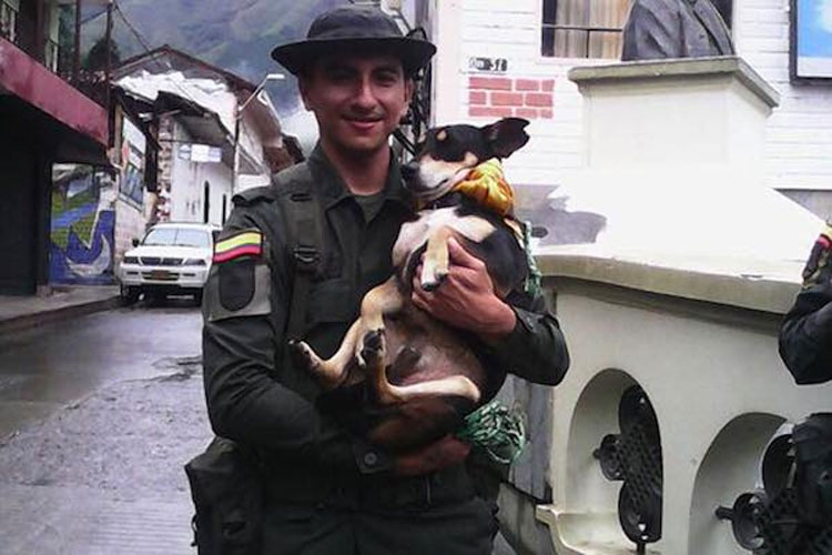 Estos policías encuentran un perro arrastrado por una fuerte corriente. La historia TERMINA ASÍ