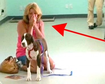 Después de 3 años, realizan un milagro con su perro paralizado. Éste es el MOMENTO DEL REENCUENTRO 4 Después de 3 años, realizan un milagro con su perro paralizado. Éste es el MOMENTO DEL REENCUENTRO