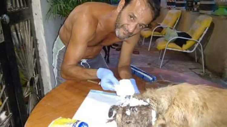 Él se quita su camisa, justo a tiempo para salvar la vida de un perro moribundo