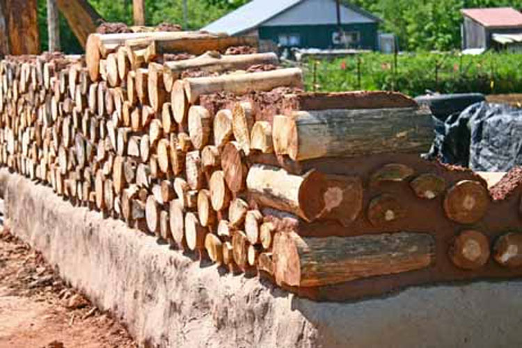 Querían convertir su casa en algo épico, así que recogieron troncos de árbol e hicieron ESTO