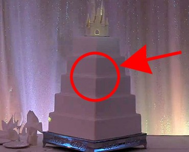 Este pastel de boda no tenía ninguna decoración, hasta que pasó ÉSTO y ASOMBRÓ a todos