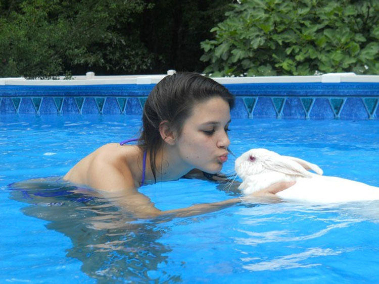 32 Animales aprovechando al máximo sus días de verano resfrescándose en la piscina