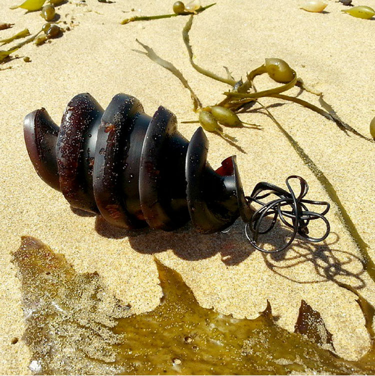 Transeúntes ven un objeto extraño varado en la playa - ¡No vas a creer lo que es!