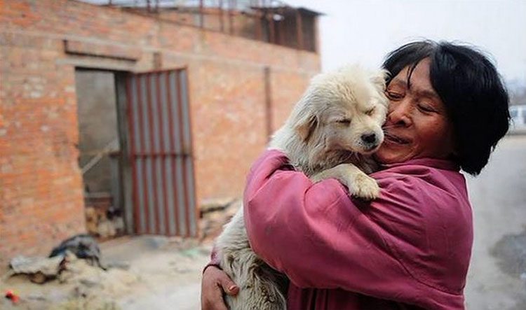 Esta asombrosa mujer ha gastado una fortuna para salvar a 800 Perros del festival de carne de perro de Yulin