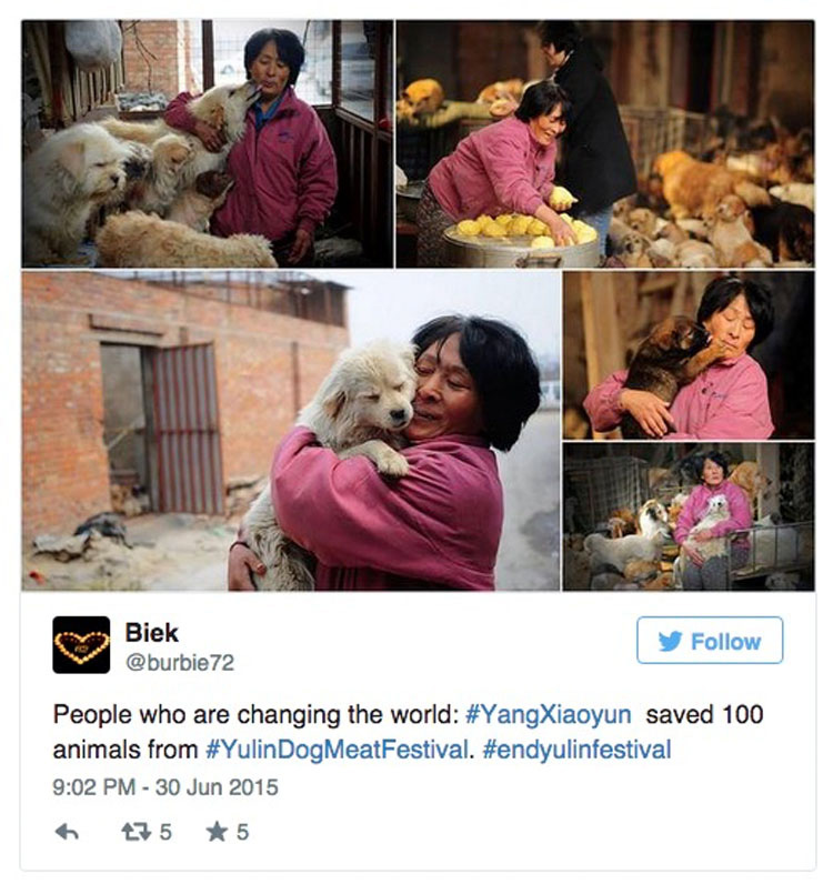 Esta asombrosa mujer ha gastado una fortuna para salvar a 800 Perros del festival de carne de perro de Yulin