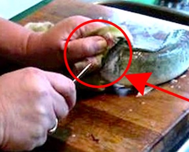 Ella prepara el pescado para la cena, ¿pero cuando su marido filma esto? ¡IMPACTANTE!