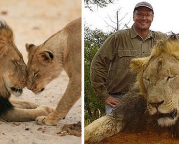 La indignación de Internet fuerza al dentista que mató al león Cecil a cerrar su clínica dental