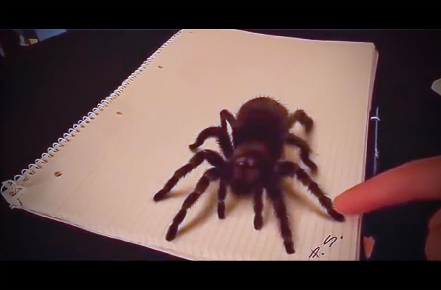 Esta araña tiene un aspecto ATERRADOR. Pero cuando la tocan no me esperaba ESTO