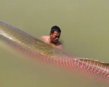 Iba de pesca por el Amazonas - Y lo que encontró fue un MONSTRUO gigante