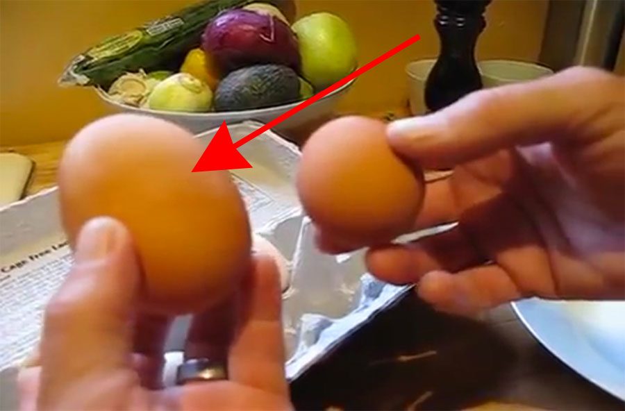 Una de sus gallinas pone un huevo GIGANTE, así que deciden abrirlo y se quedan ASOMBRADOS