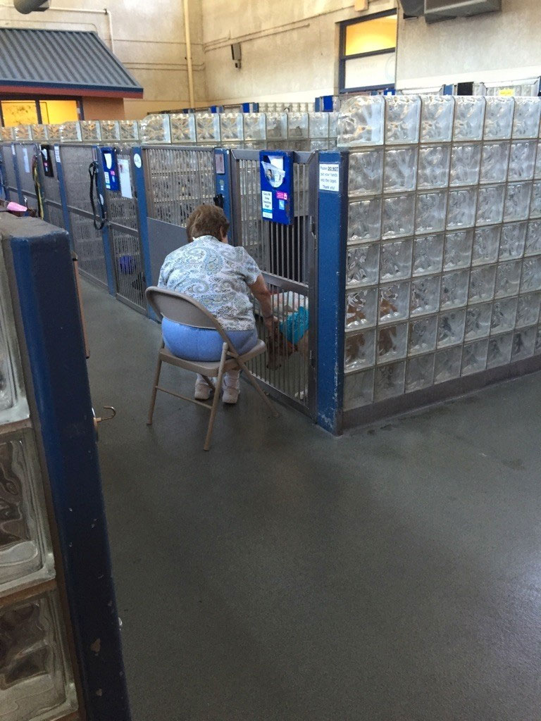 Esta mujer lee a los perros de un refugio para que sepan que no están solos