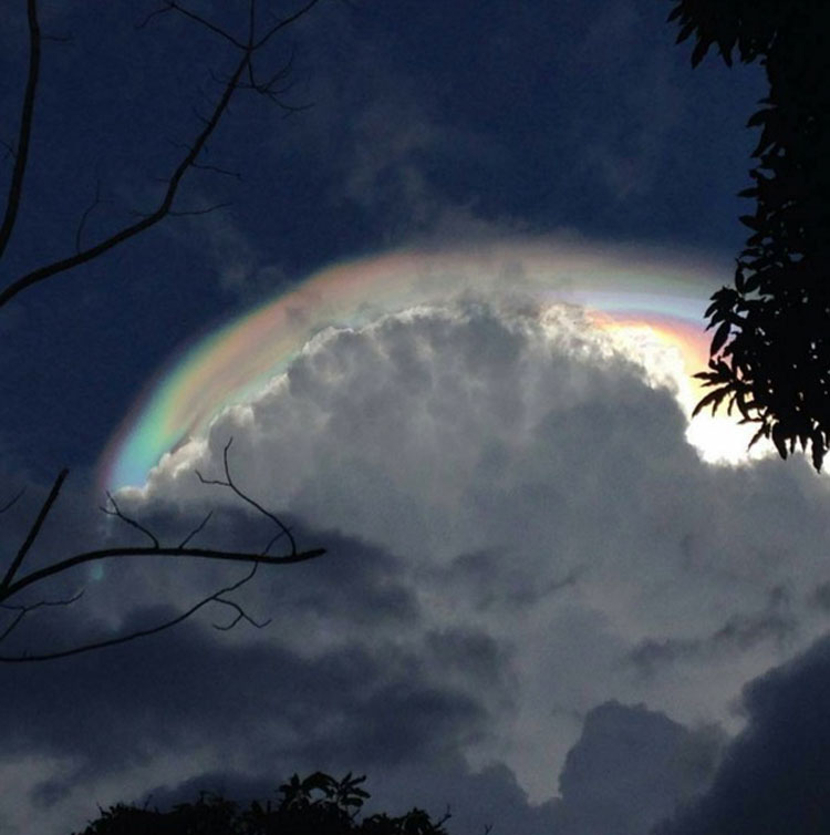 Una mujer mira hacia el cielo, lo que ella ve hace que se ponga a FILMAR CON SU CÁMARA