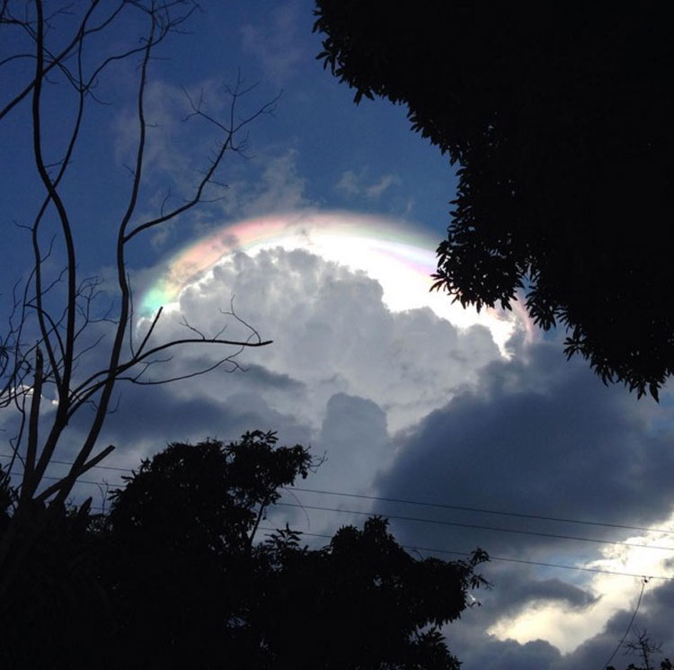 Una mujer mira hacia el cielo, lo que ella ve hace que se ponga a FILMAR CON SU CÁMARA