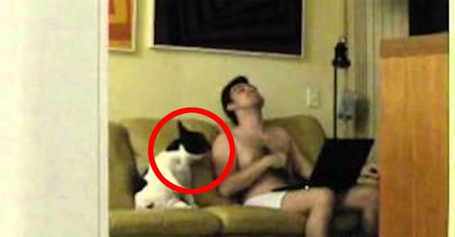 Ella SORPRENDIÓ a su marido haciendo esto con el perro, ¡y se ha hecho VIRAL! 1 Ella SORPRENDIÓ a su marido haciendo esto con el perro, ¡y se ha hecho VIRAL!