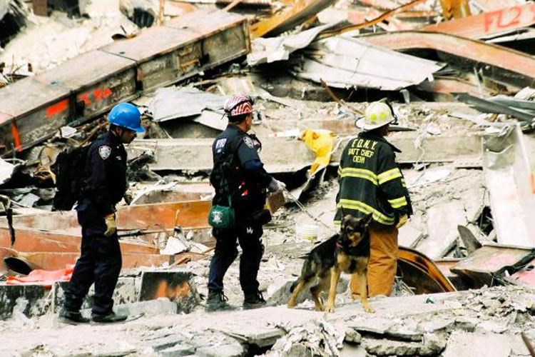 Recordando la valentía de los perros de rescate del 11 de Septiembre