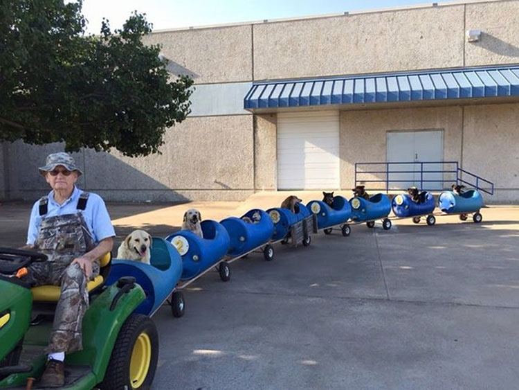 Este anciano ha construido un tren para perros rescatados para que vivan pequeñas aventuras