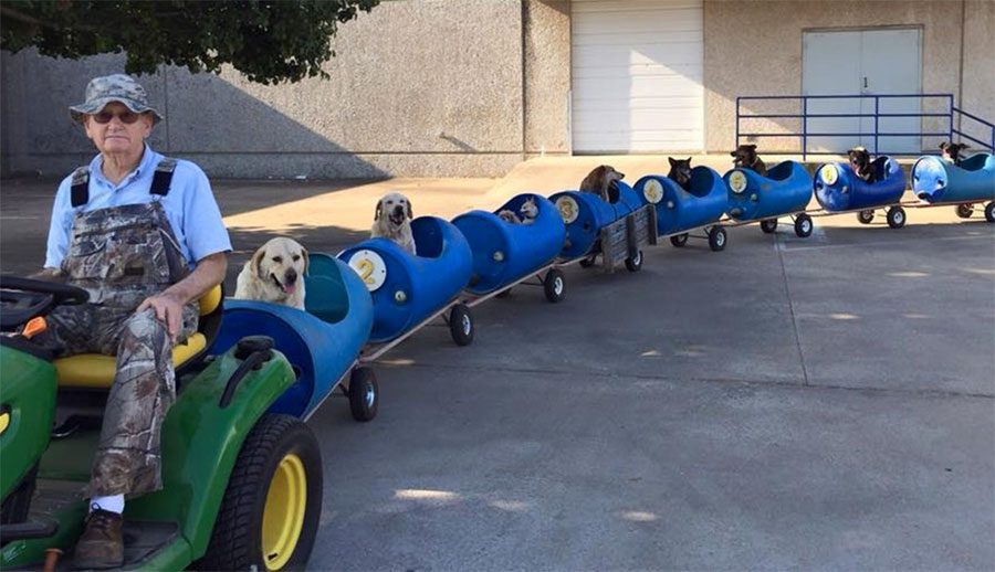 Este anciano ha construido un tren para perros rescatados para que vivan pequeñas aventuras
