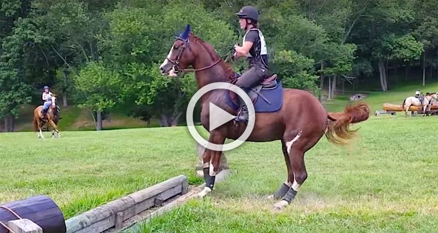 video-viral-caballo