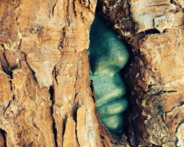 ¿Cuál es el misterio de este "hombre verde" tragado por un árbol? 4 ¿Cuál es el misterio de este "hombre verde" tragado por un árbol?