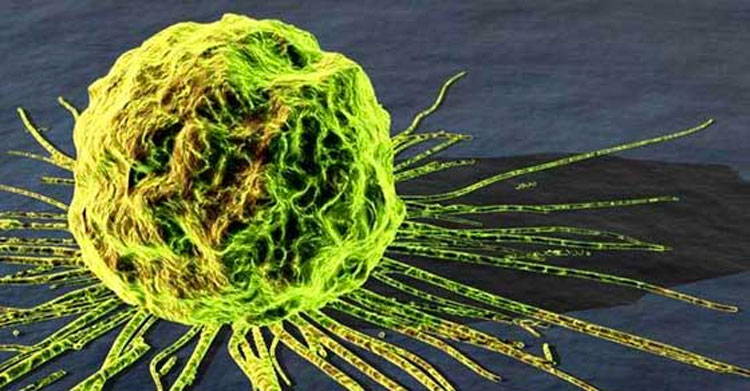 Los científicos podrían haber encontrado "accidentalmente" la cura para el cáncer 2