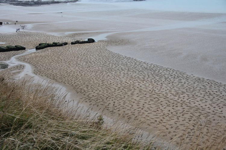 Lo que estas personas han creado en esta playa es increíble. Cuando te alejas, verás por qué