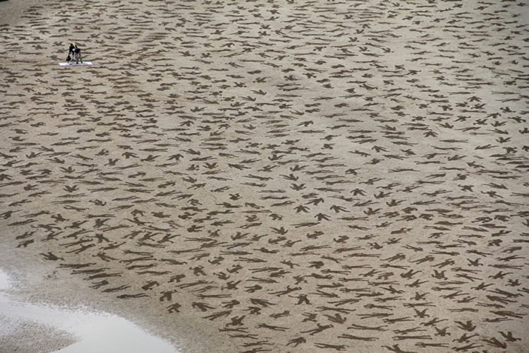 Lo que estas personas han creado en esta playa es increíble. Cuando te alejas, verás por qué