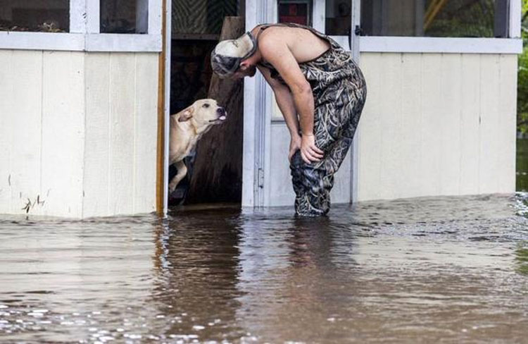 Este perro se niega a dejar al hombre que lo salvó de la inundación. ¡CONMOVEDOR!