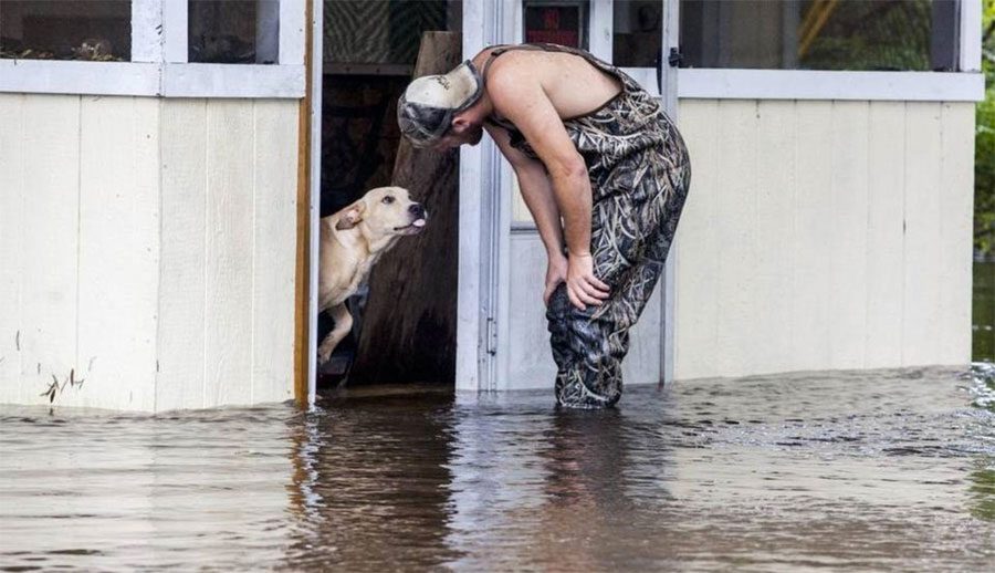 Este perro se niega a dejar al hombre que lo salvó de la inundación. ¡CONMOVEDOR!