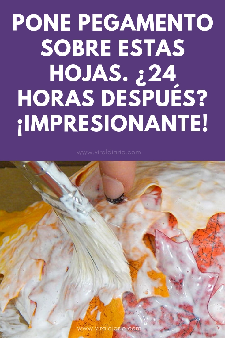 Ella pone pegamento sobre estas hojas. ¿24 horas después? ¡Esto es IMPRESIONANTE!