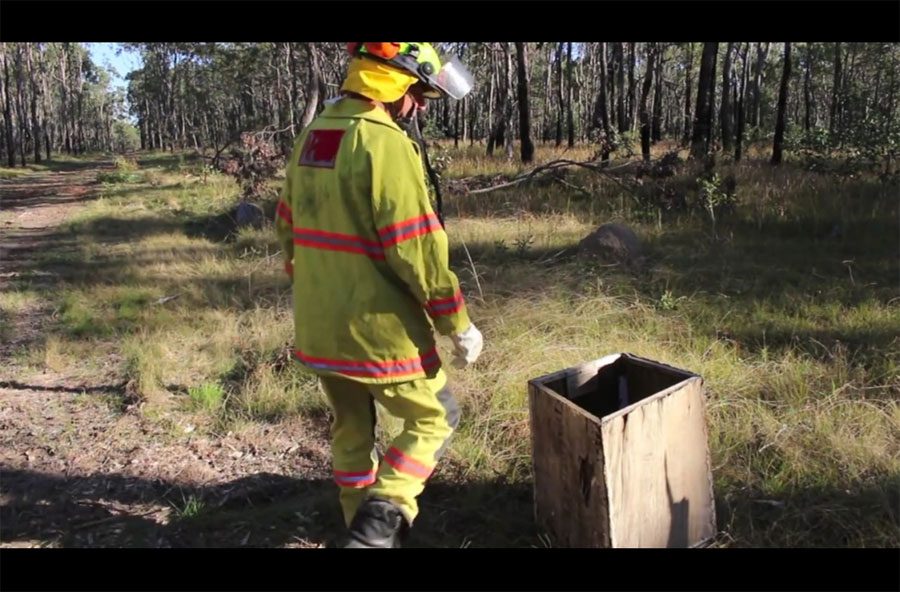 Un bombero ve una caja en el bosque. Lo que encuentra en el interior cambia su vida para siempre