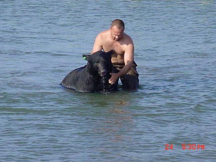 Este hombre saltó al agua para salvar del ahogamiento a un oso de 180 kilos