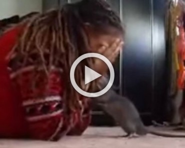Esta chica juega al escondite con su... rata. ¡Su reacción es demasiado adorable!