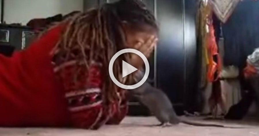 Esta chica juega al escondite con su... rata. ¡Su reacción es demasiado adorable!