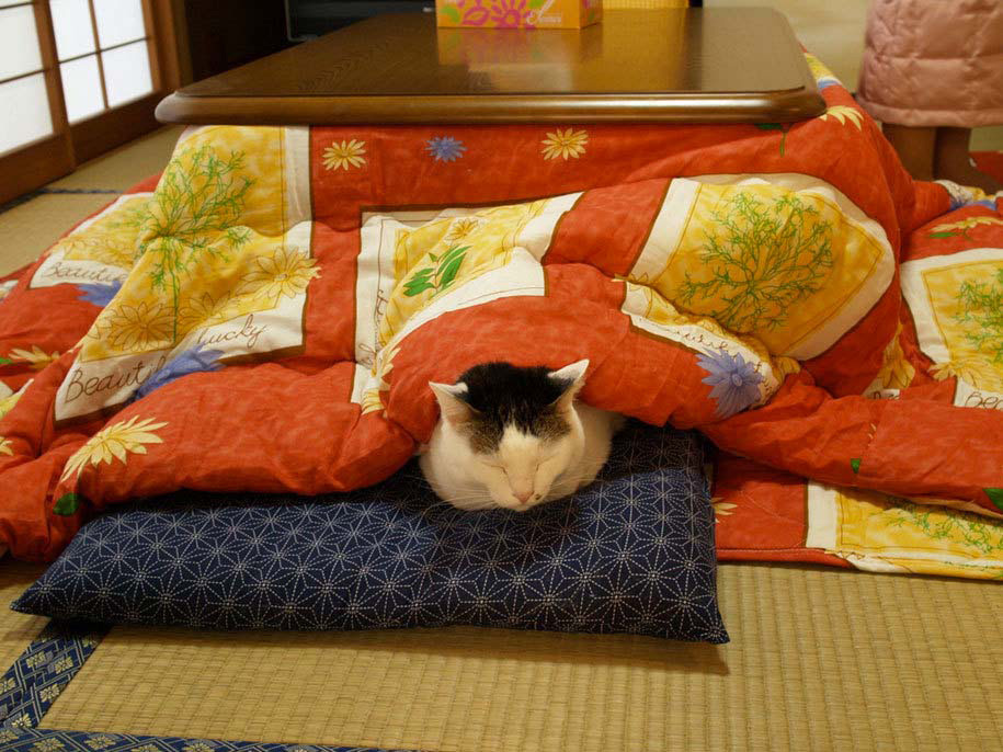 No podrás vivir un día más sin este invento loco e impresionante: el kotatsu