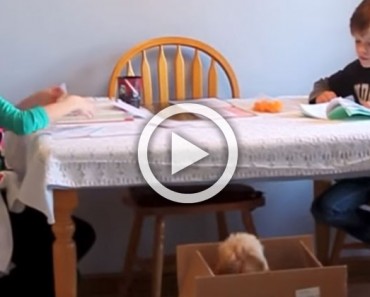 Estos niños van a recibir la sorpresa de su vida. Atentos a la niña, su reacción es conmovedora 5 Estos niños van a recibir la sorpresa de su vida. Atentos a la niña, su reacción es conmovedora
