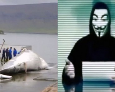 Este país mata ballenas, así que estos hackers cierran sus sitios web