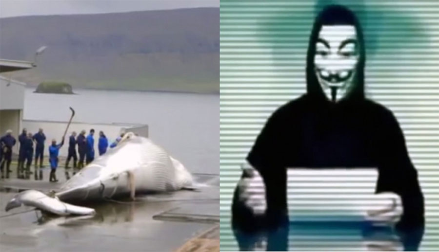 Este país mata ballenas, así que estos hackers cierran sus sitios web 1