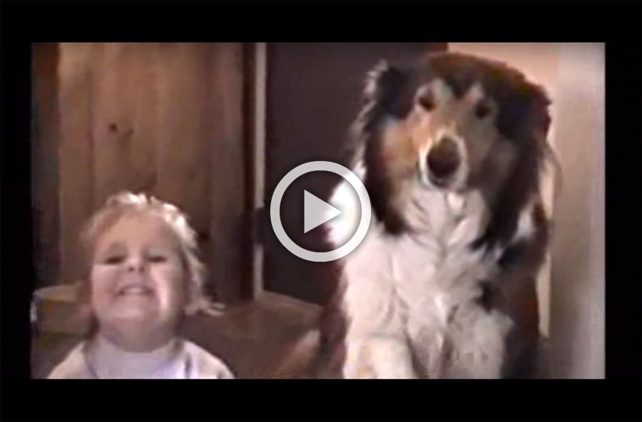 Pidieron a este perro que dijera "patata" al tomar una foto. ATENCIÓN a la expresión del perro 1 Pidieron a este perro que dijera "patata" al tomar una foto. ATENCIÓN a la expresión del perro