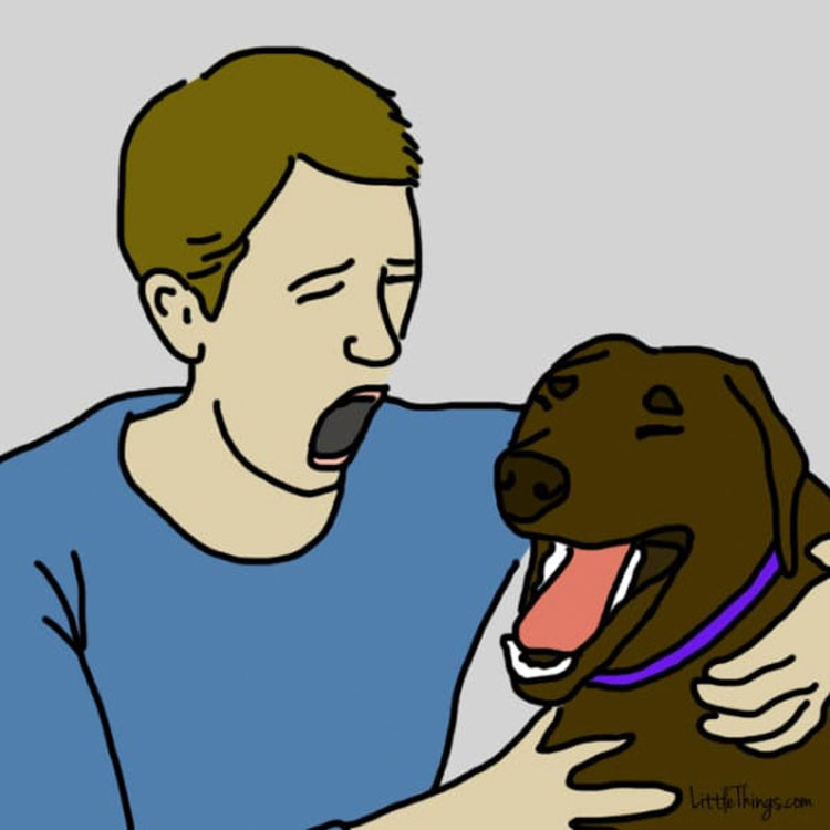 10 sorprendentes y secretas maneras en que tu perro te dice "Te quiero"