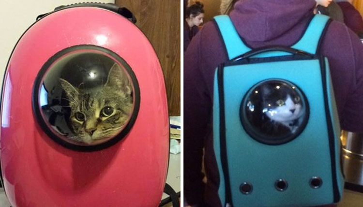 Esta mochila para gatos genial permite que su mascota viaje como un pequeño astronauta