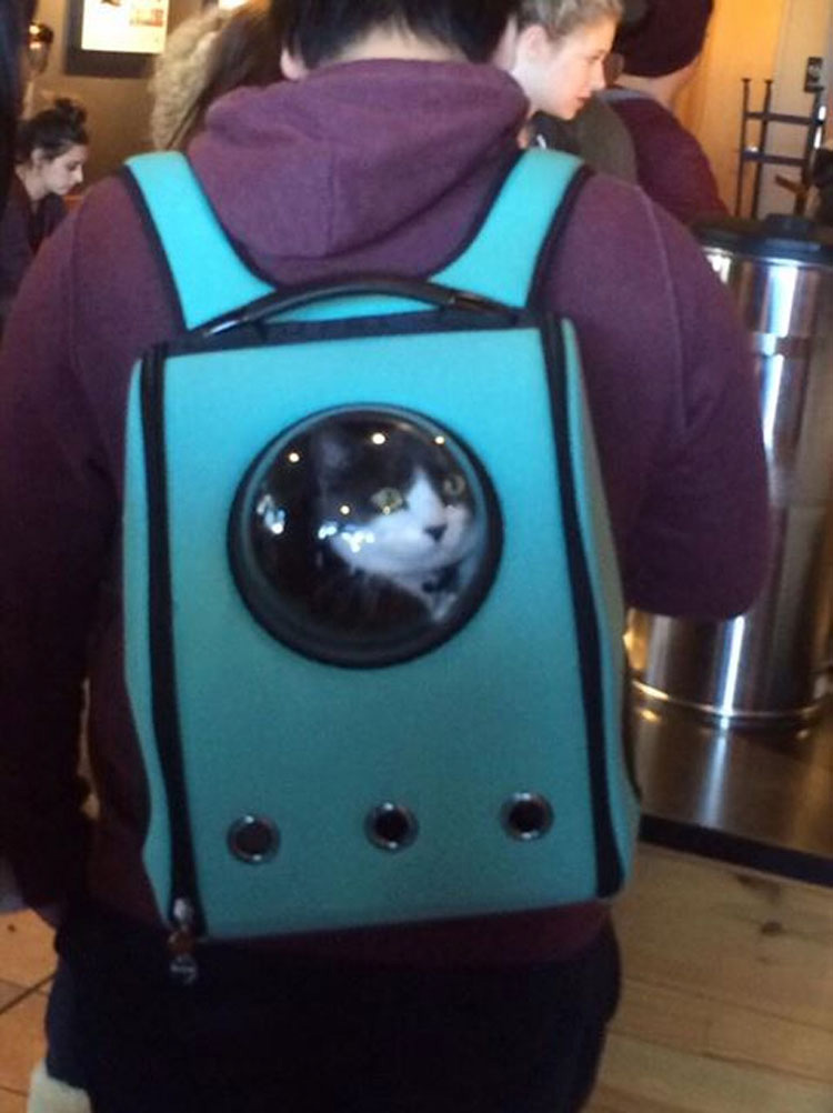 Esta mochila para gatos genial permite que su mascota viaje como un pequeño astronauta